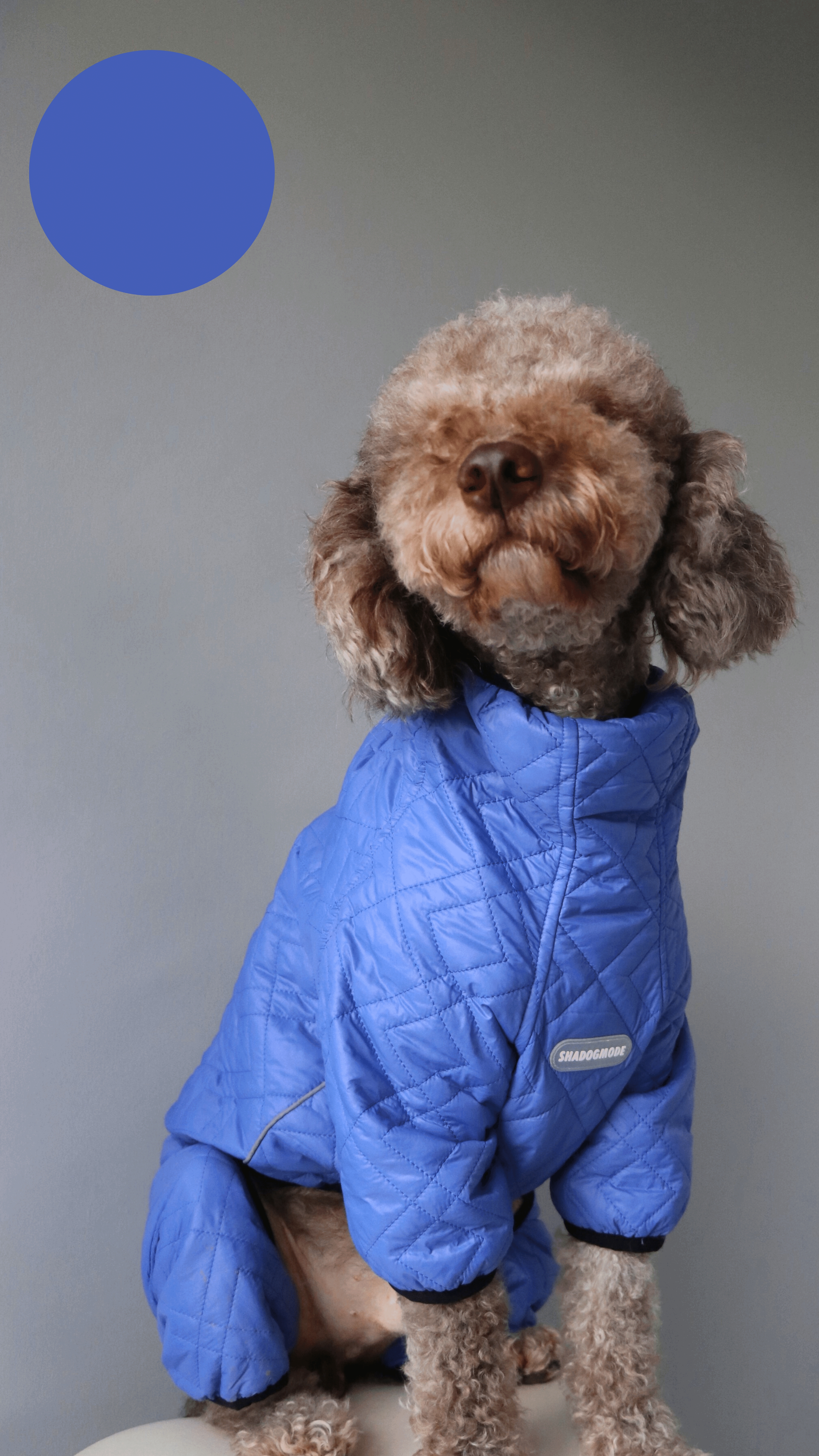LIGHTBLUE MONT